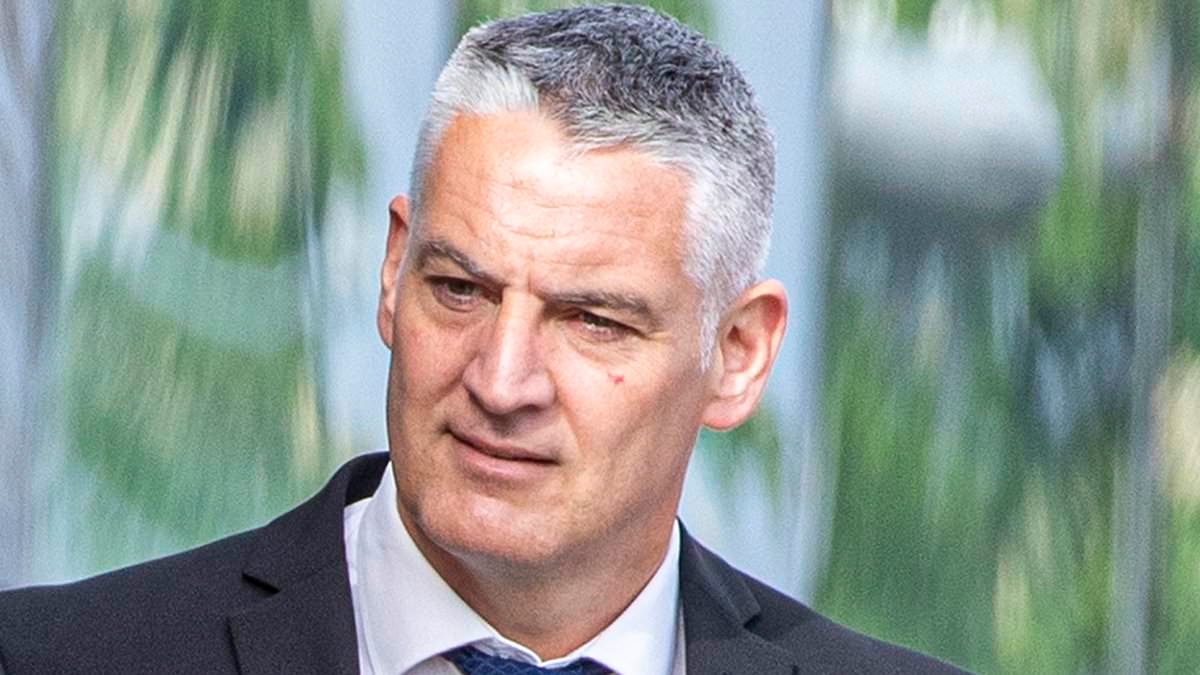 Police officer filmed restraining and punching man who 'attacked female colleague' is found not guilty of assault and strangulation