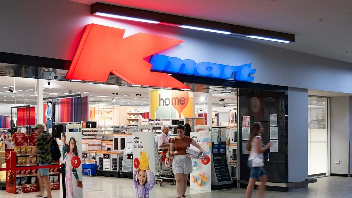 How I make thousands of dollars every week from cheap $14 Kmart prints: '10 minutes of work'