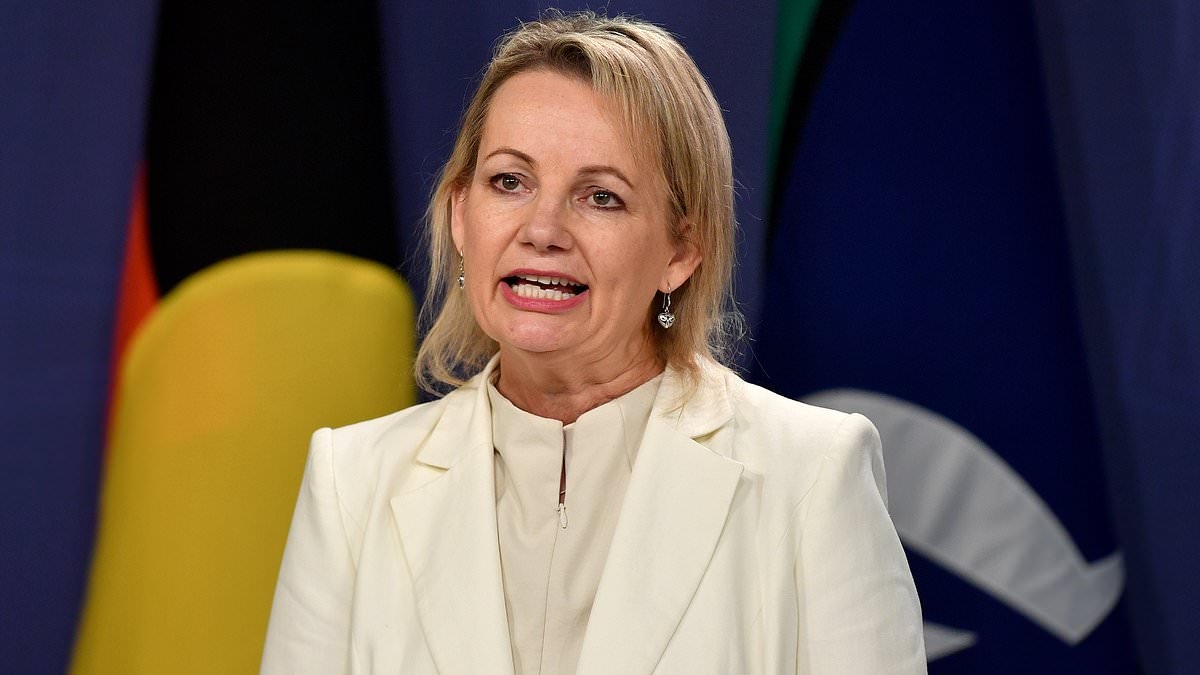 EXCLUSIVE I've seen hundreds of political dirt files - but the shocking smears the Liberals are peddling to bury Sussan Ley shocked even ME. It's no wonder women are fleeing the party in droves: PETER VAN ONSELEN
