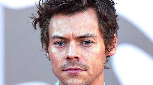Harry Styles' love affair with Italy revealed as singer gushes he's had the 'most special moments of his life' in the country after being spotted greeting new pope in St. Peter's Square