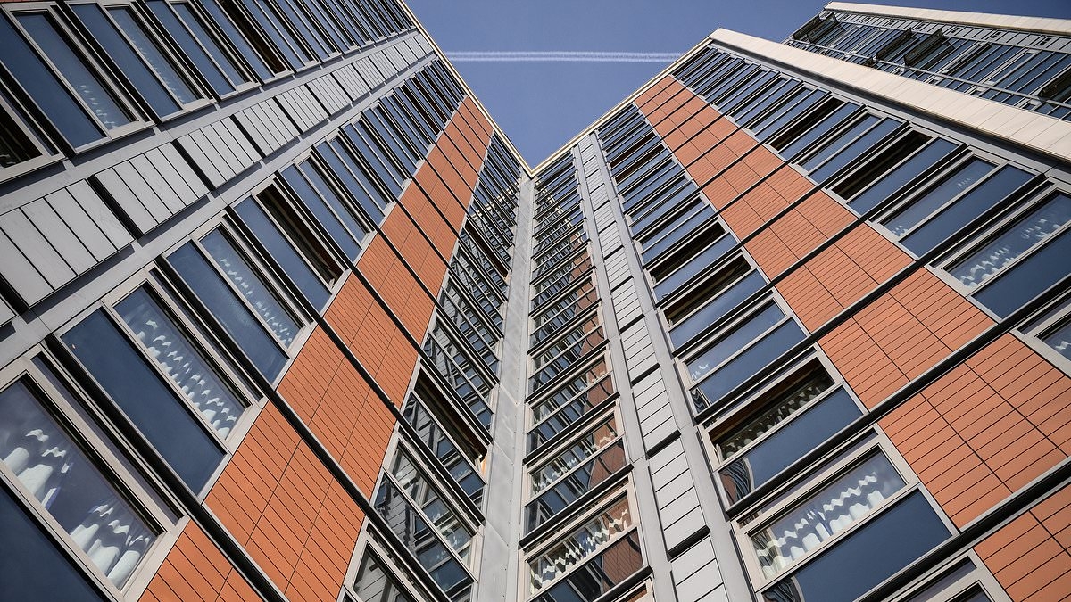 EXCLUSIVE Demand for student digs and plush offices helping buoy commercial property 'revival'
