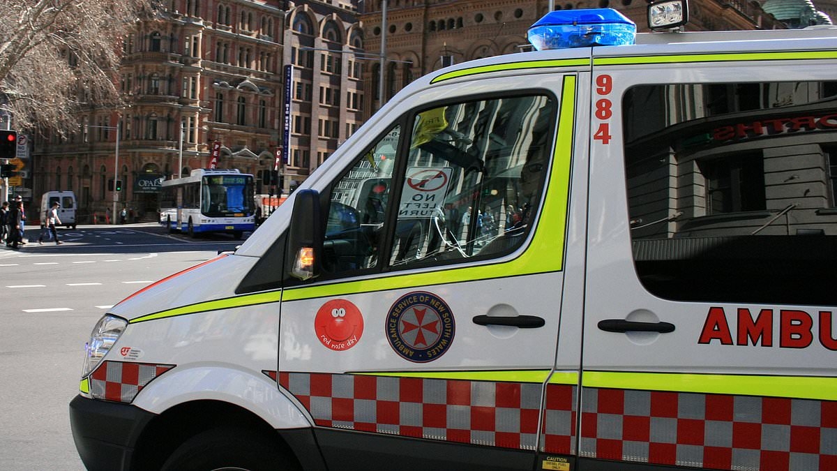 Paramedics claim supporting a controversial new trial will put crucial specialists at risk