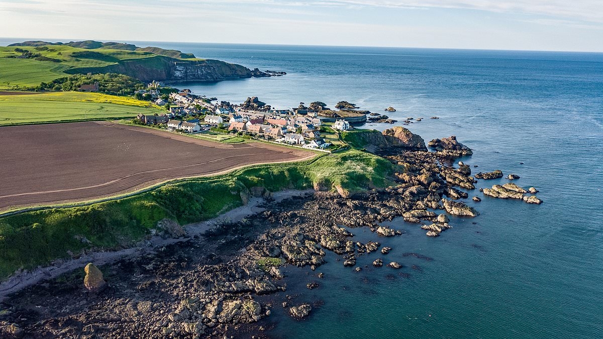 Pictured: The best places to snorkel in Britain - including beautiful sealife in one of the 'UK's worst seaside towns'