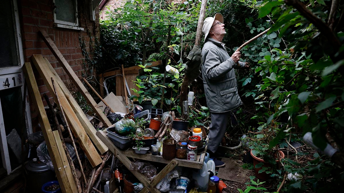 Furious neighbours claim hoarder next door has refused to 'empty his bins for 25 YEARS' causing infestation of two-foot rats in their homes