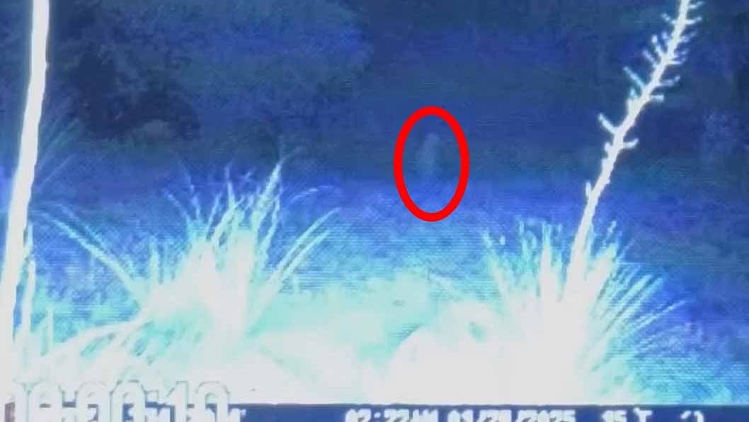 Creepy trail cam video shows weird white 'skinwalker creature' lurking near home