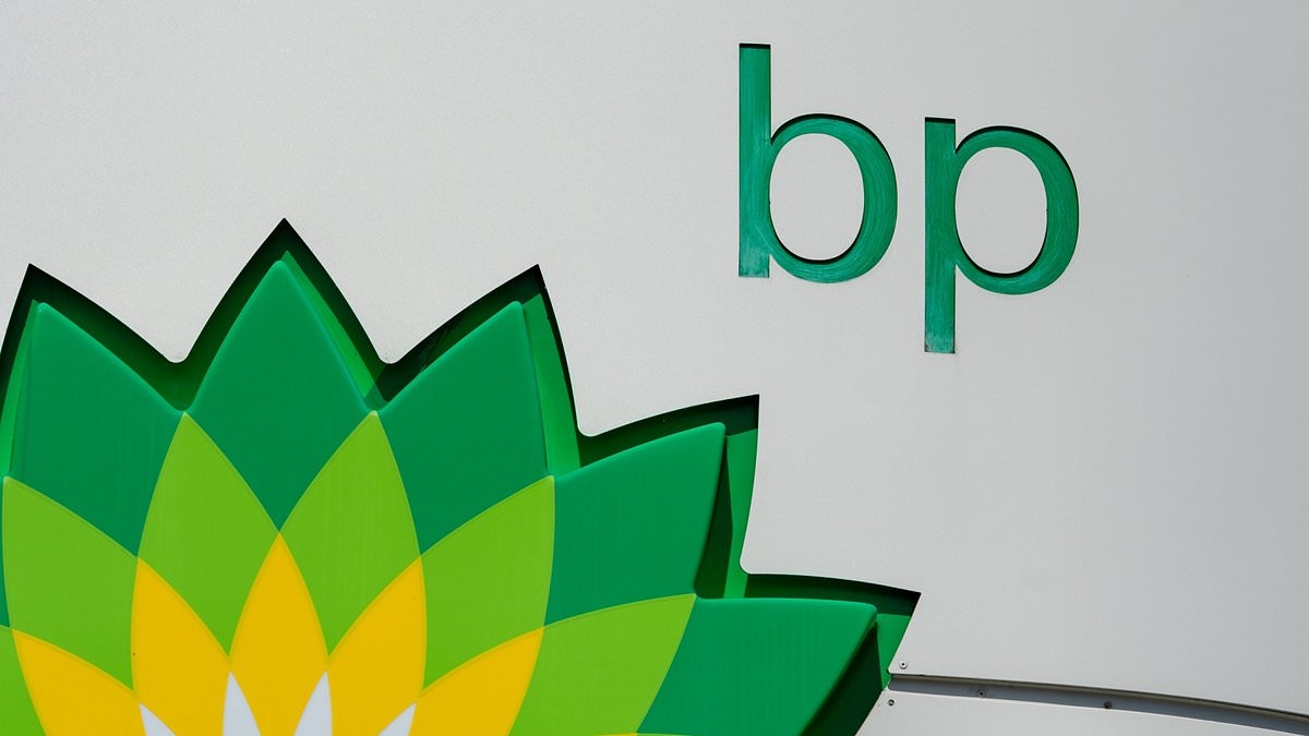ALEX BRUMMER: BP's survival is core to UK