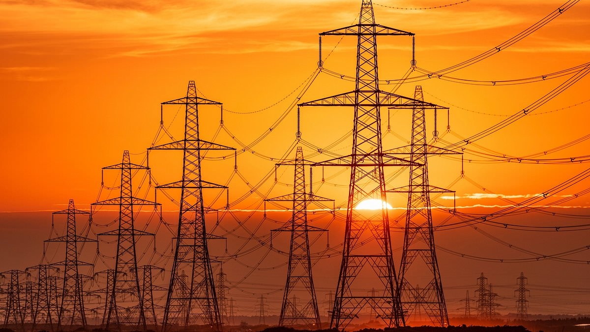 Halt the march of the pylons! The Furious communities desperate to protect their homes and livelihoods as they take action to stop Ed Miliband's latest bid to despoil the countryside