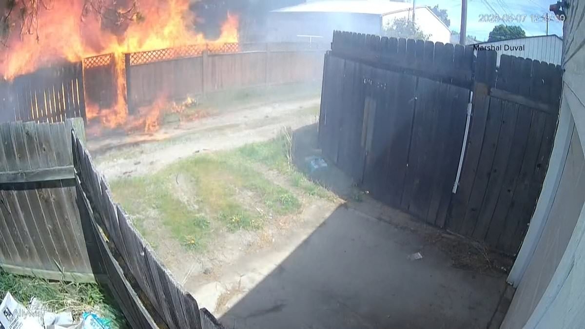 Female Audi driver's absurd excuse for burning down huge swathe of neighborhood