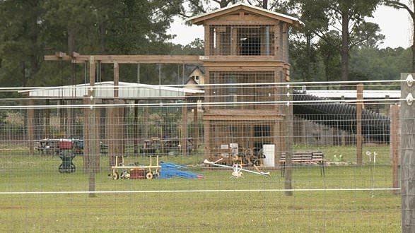 Kangaroo blamed for man's death at South Carolina petting zoo