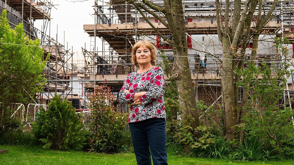 Retired couple went on a six-month holiday...and came home to 'find a newbuild estate with 129 houses being built next door'