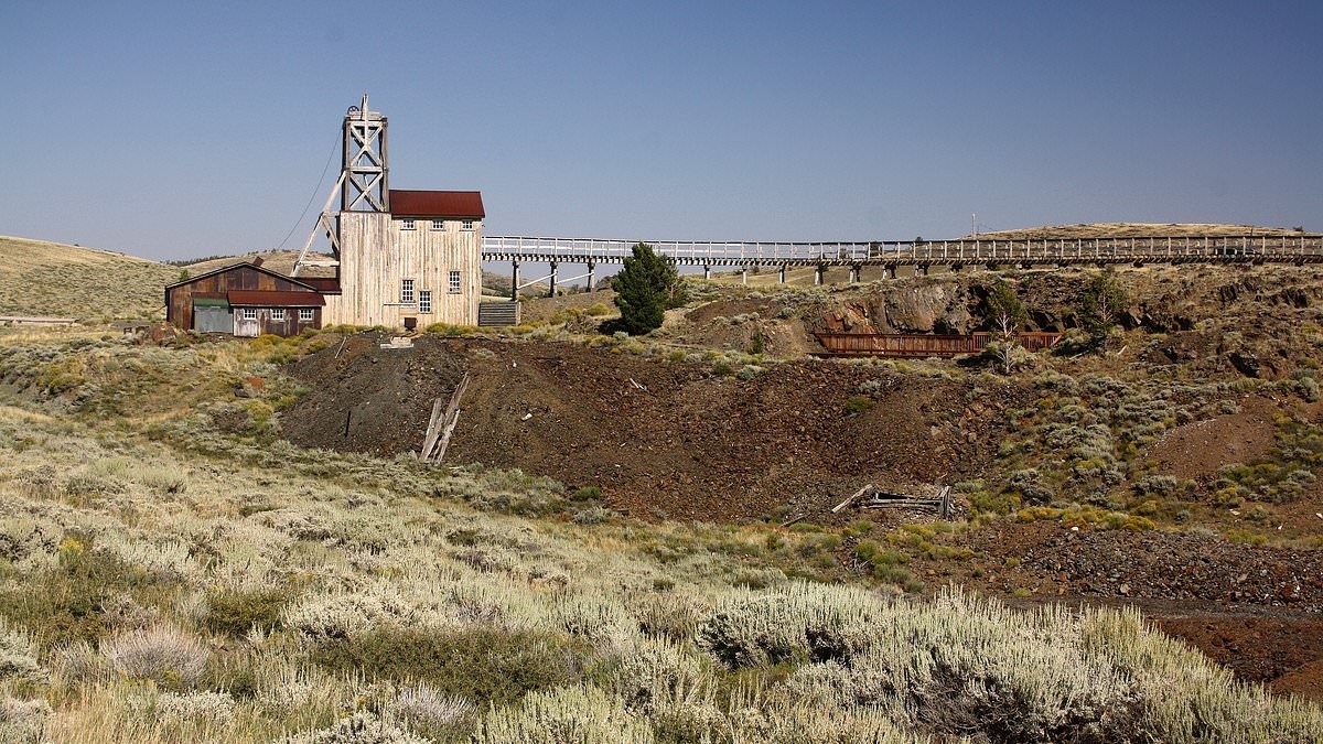 New gold rush is on the horizon as experts say deserted mine is still FILLED with extremely valuable minerals
