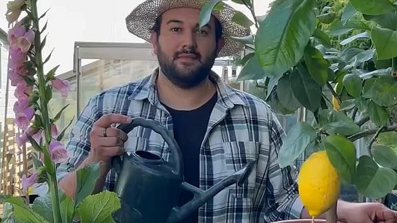 Garden expert reveals why you're watering your plants all wrong