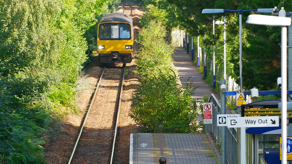 Man, 19, is charged with rape and sexual assault after two teen girls, 16 and 17, 'attacked' near railway station