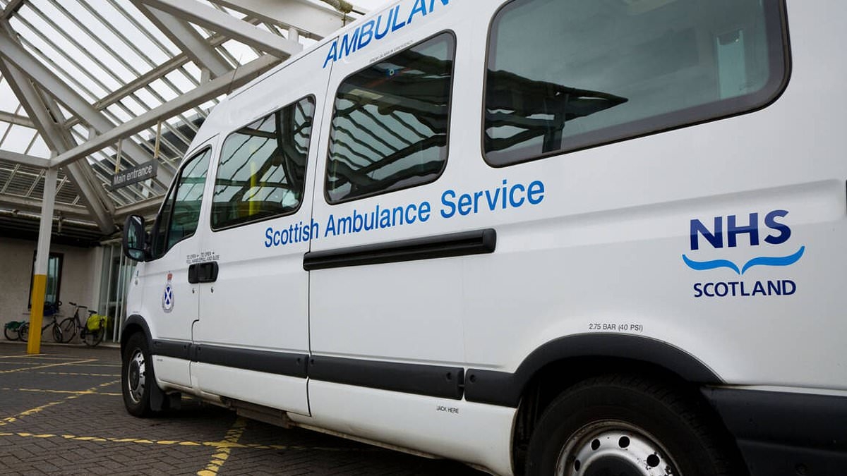 Minibus medics sent to answer 999 calls as 'underinvestment and understaffing' hits ambulance service
