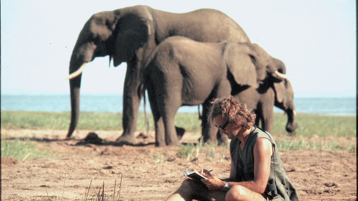 CHRISTOPHER STEVENS reviews A Life Among Elephants: Extraordinary life of the elephant man who took on the poachers...