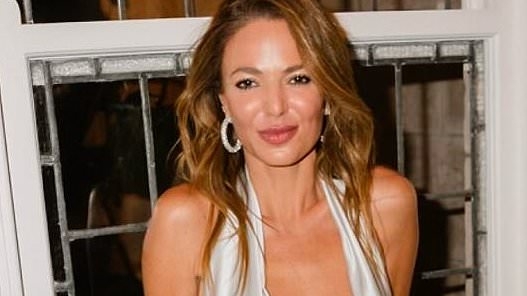 Nude artist Dina Broadhurst shocks at Justin Hemmes' Silver charity gala as she flaunts everything in a very revealing dress and almost suffers a massive wardrobe malfunction