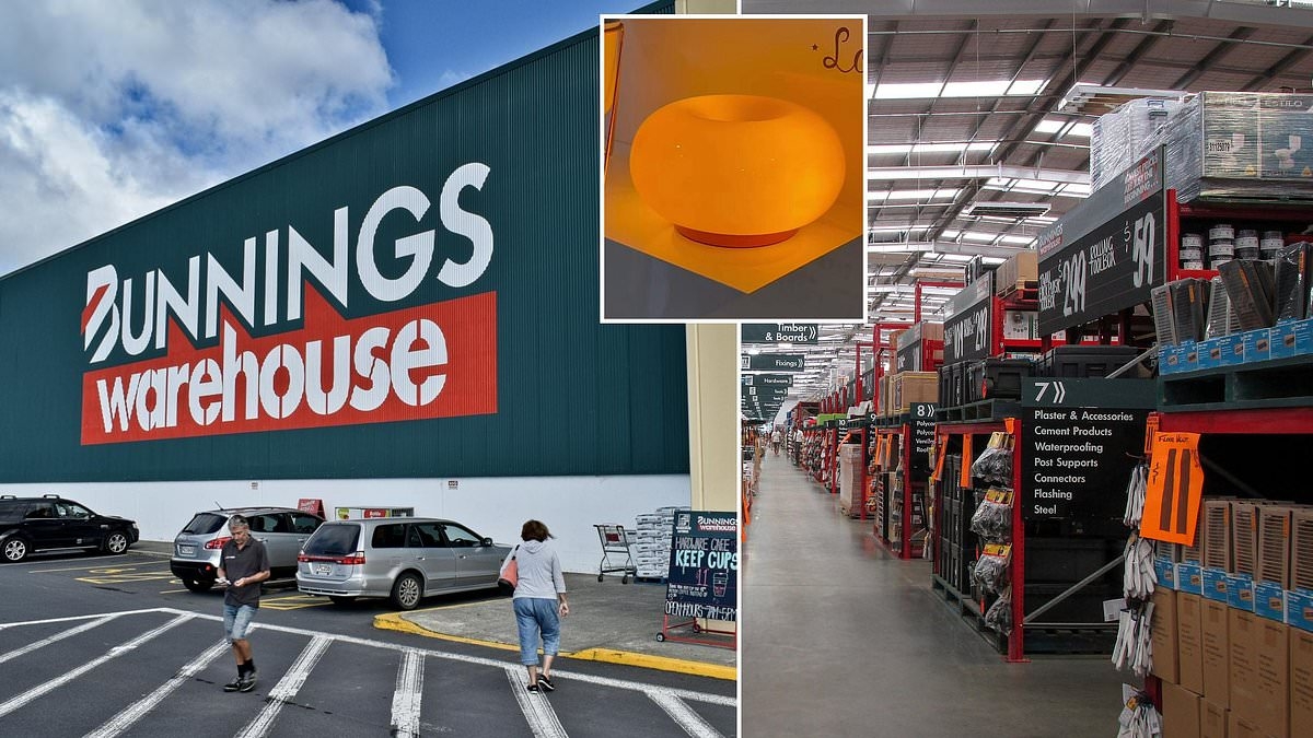 Bunnings shoppers go wild over $49 item - but not everyone's impressed