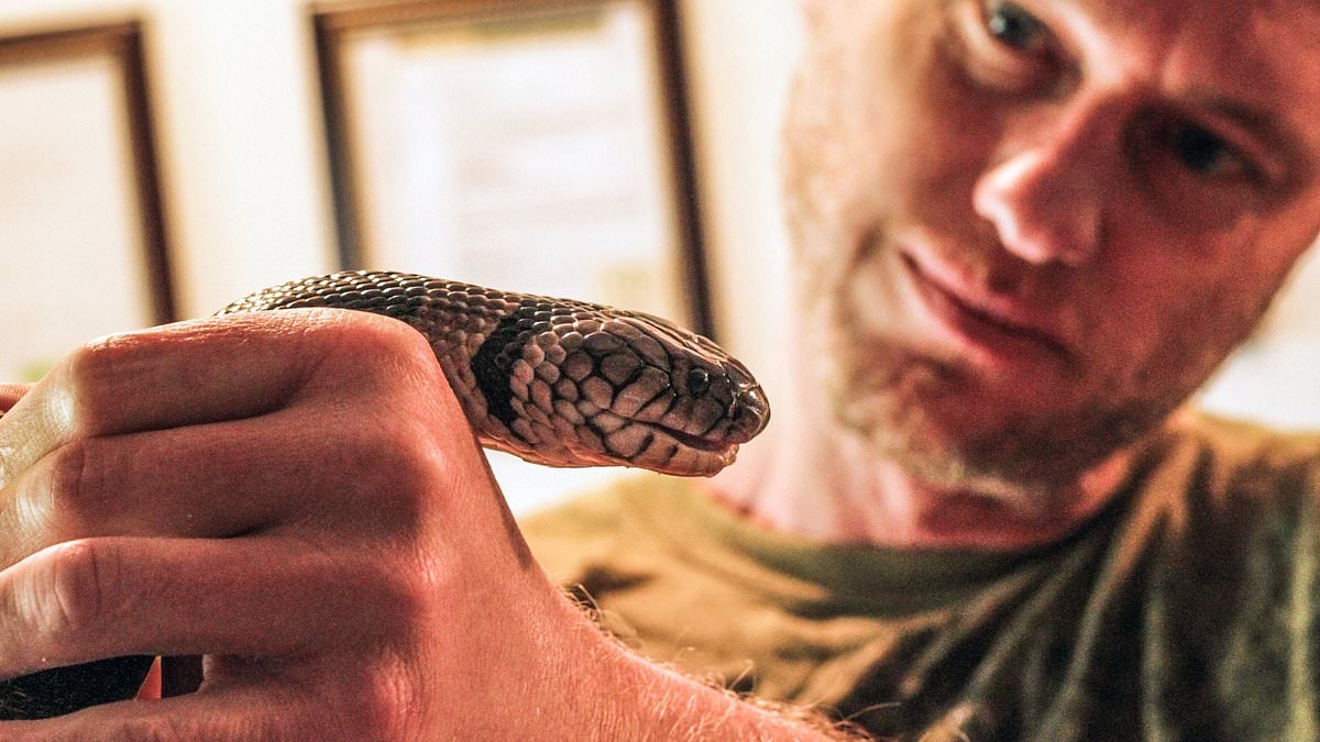 I sat in my basement for 18 years injecting myself with snake venom. This is why I did it - and why everyone should thank me