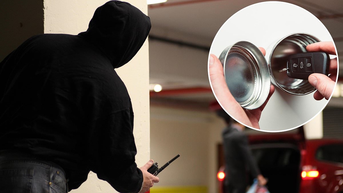 Key hacking now behind three in five car thefts - here's how to protect your motor