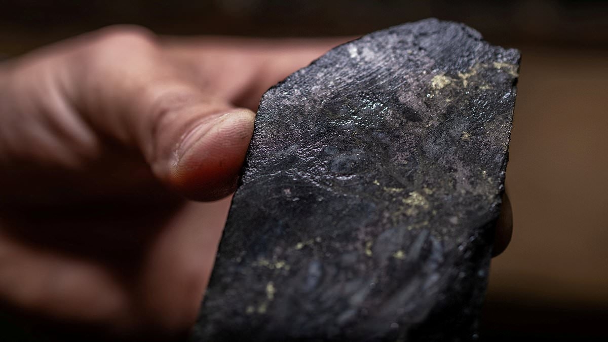 Boost for the City as Cobalt investor eyes $230m IPO