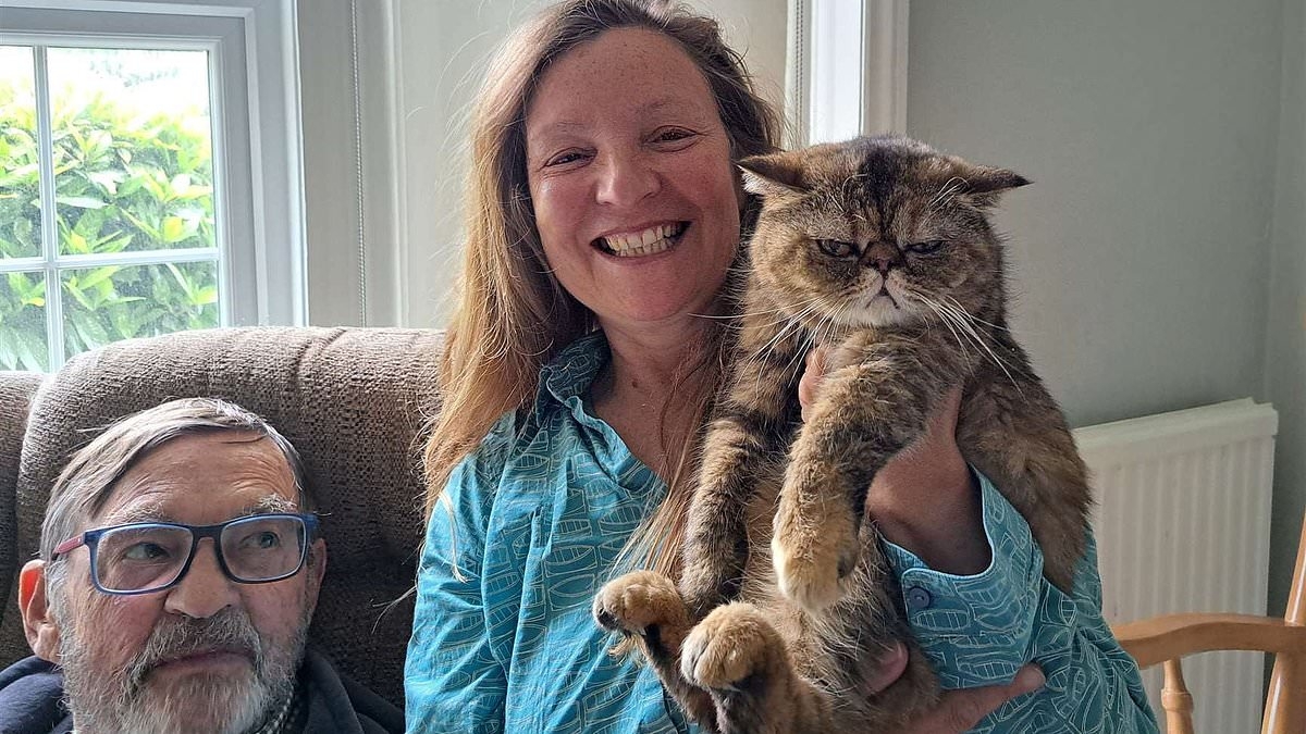 Missing cat trapped under floorboards for three weeks survived by drinking French lager and eating bugs
