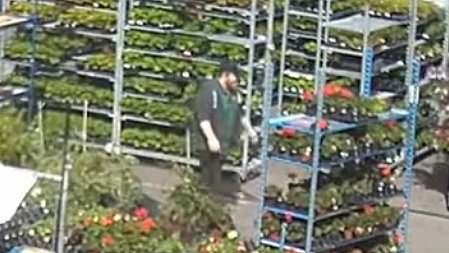 Ultra-rare whirlwind tears through garden center and causes havoc