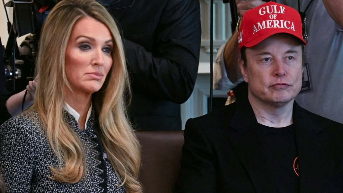 EXCLUSIVE Trump's small business guru reveals true extent of Elon Musk's power