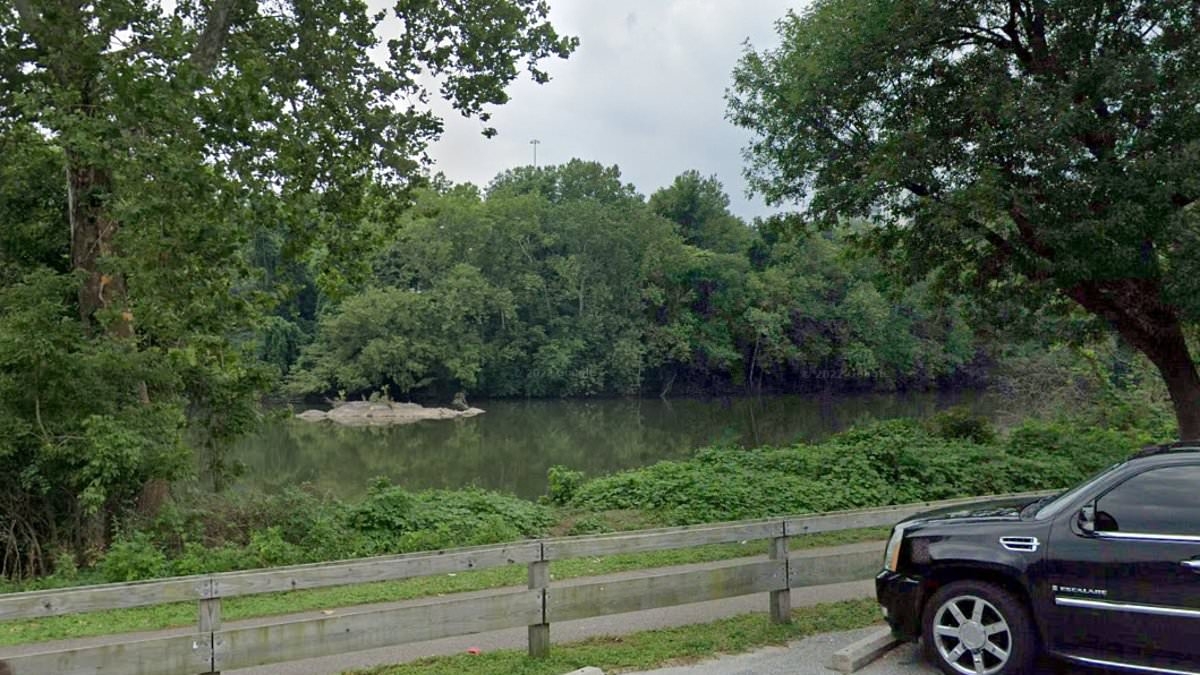 Middle-aged Pennsylvania mother's astonishing actions that ended with two dead