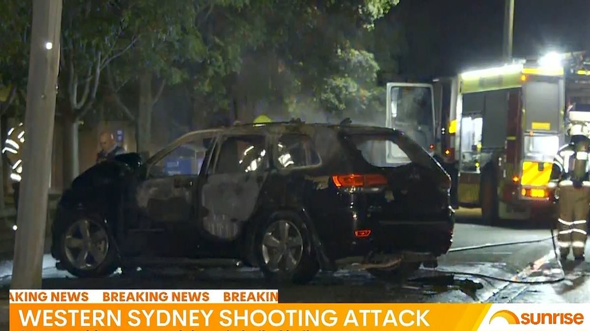 BREAKING NEWS Truck driver is ambushed and shot in Sydney - with police investigating whether two nearby car fires are linked to the attack