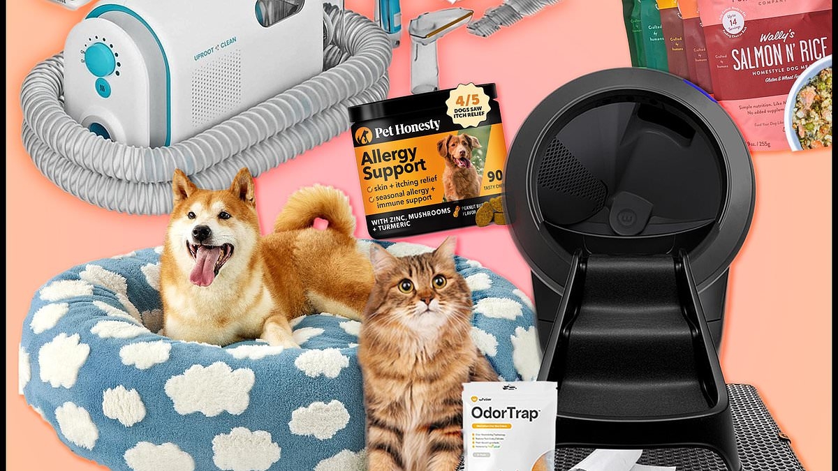 13 paws-itively perfect Amazon Pet Day deals you won't want to miss - from robot litter boxes to cozy pet beds (but act fast - this sale only lasts 48 hours!)