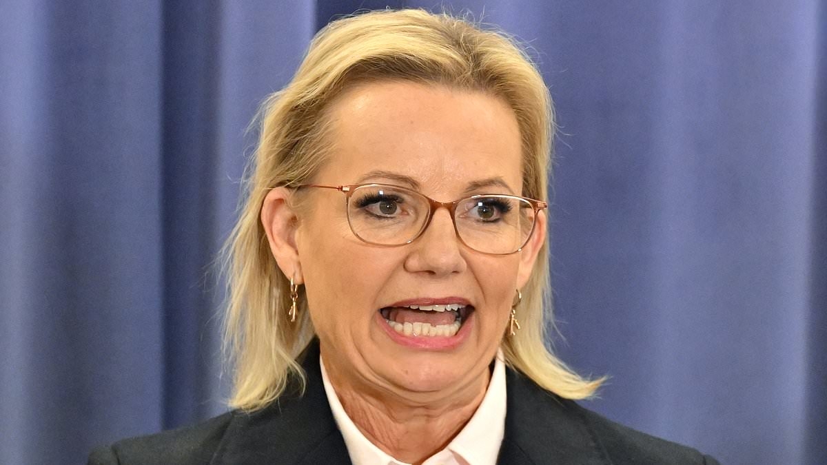 New Liberal leader Sussan Ley weighs in on Welcome to Country ceremonies: 'It's simple'