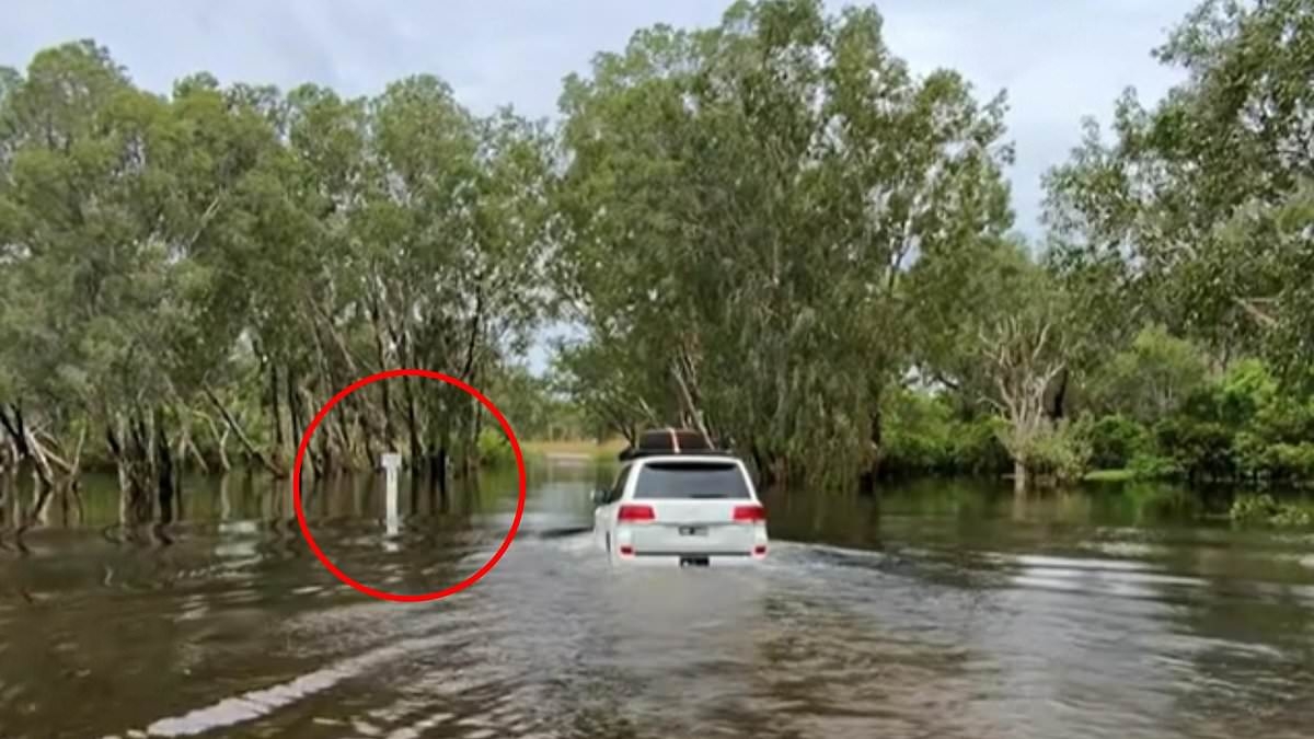 Clueless driver is slammed for idiotic act in croc-infested floodwaters: 'Never do this'