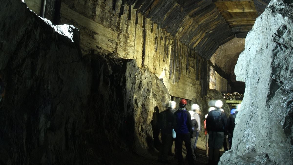 Breakthrough for Nazi gold train treasure hunters as mystery letter 'reveals location of secret tunnel hiding three carriages packed with precious metals' in Poland