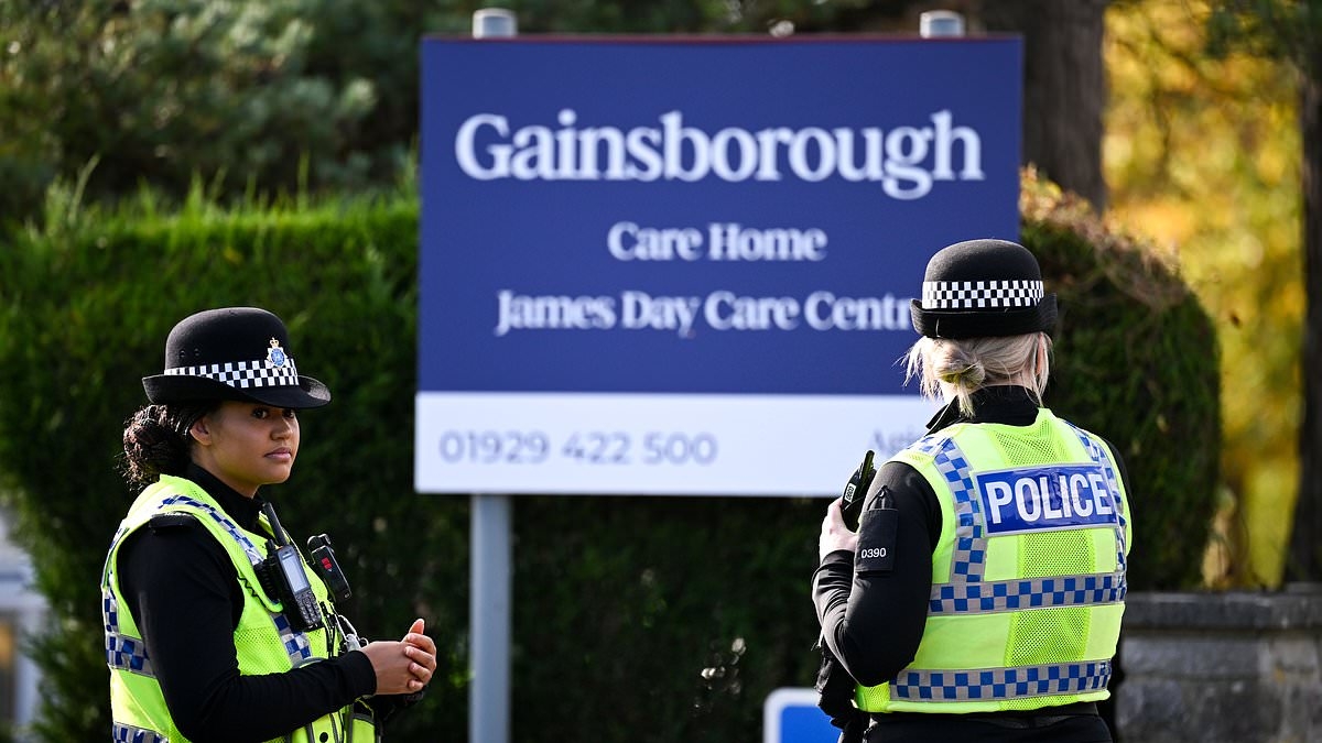 Three care home deaths on same night that sparked manslaughter investigation and arrest were tragic coincidence, police reveal