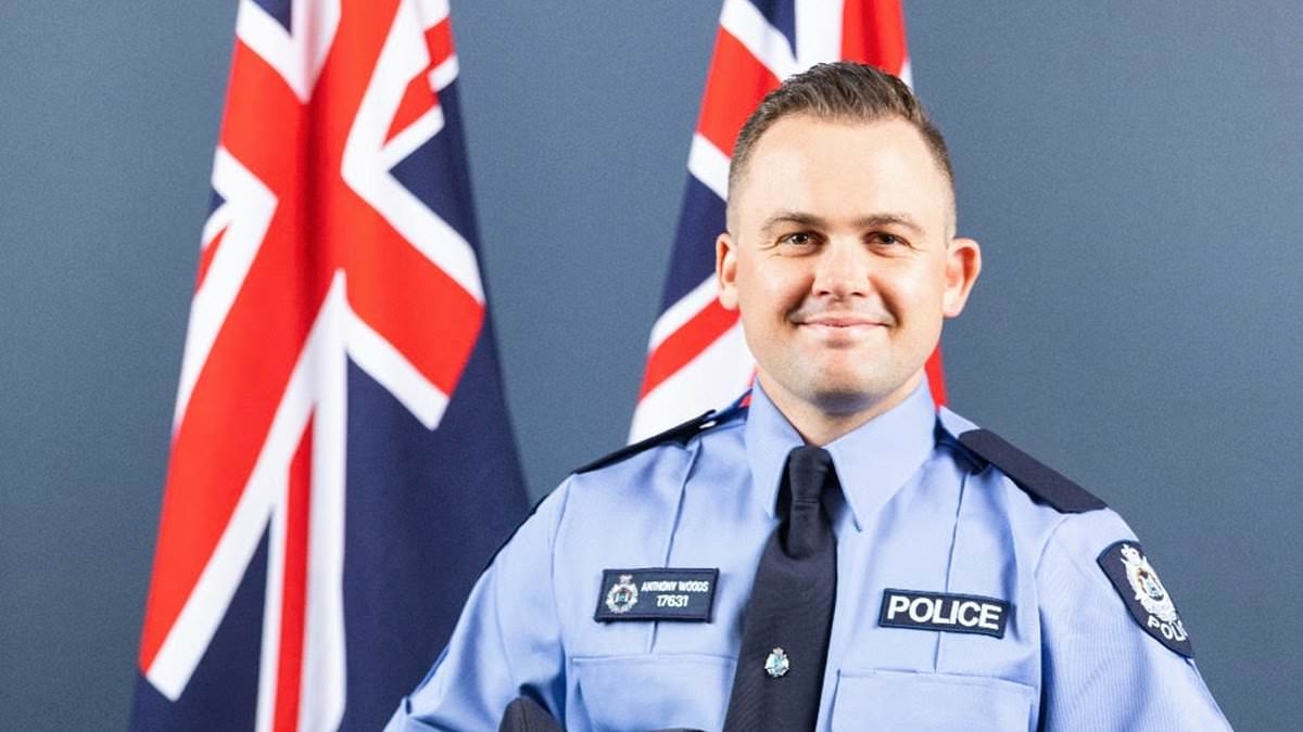 Emotional scenes in court as car thief high on meth who ran down and killed a hero young cop learns his fate