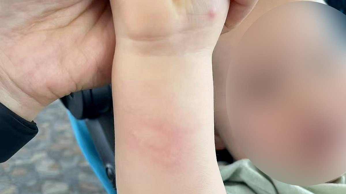 Brit and his wife are banned from boarding BA Shanghai flight to UK because their baby boy had insect bites