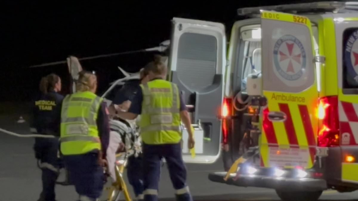 Tragedy as boy 6, dies in a horror crash between a ute and truck - as two other people fight for life