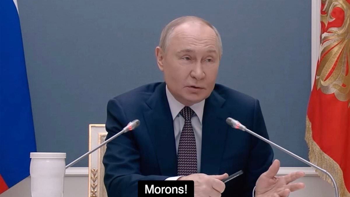 Putin mocks the West's 'moron' leaders for hitting Russia with sanctions and 'tipping their own countries into recession'