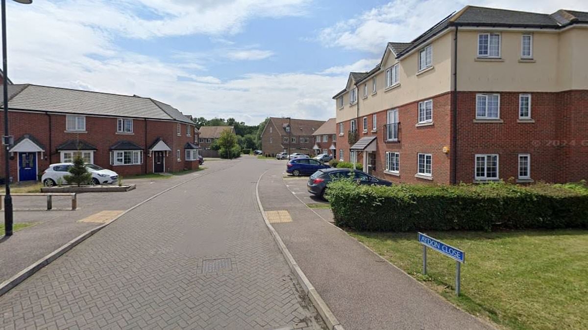 Child seriously injured 'in quad bike hit-and-run': Two teenagers arrested after youngster 'was ploughed into while riding scooter on pavement'