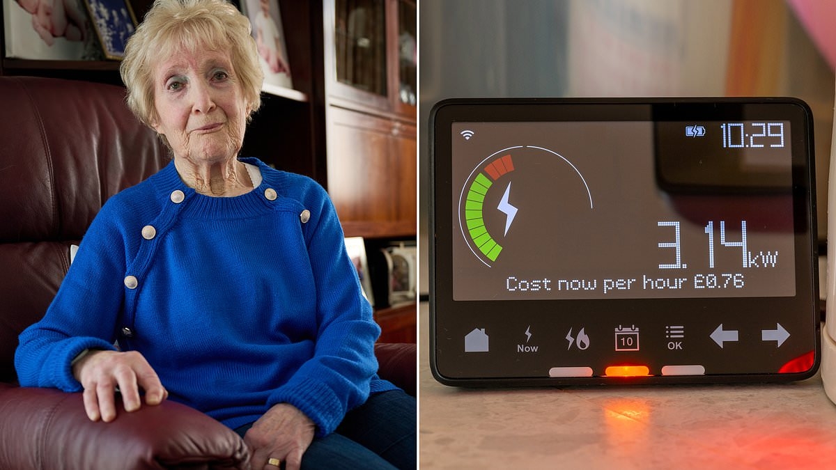 Shirley resisted a smart meter for TEN YEARS. Then she finally caved in - and got a bill for £5,230