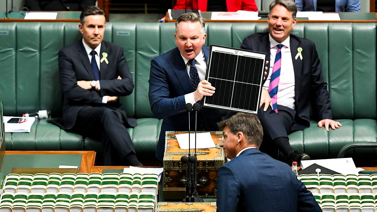 Chris Bowen launches a brutal post-election attack on his critics - as he pushes ahead with plan to phase out coal-fired power plants