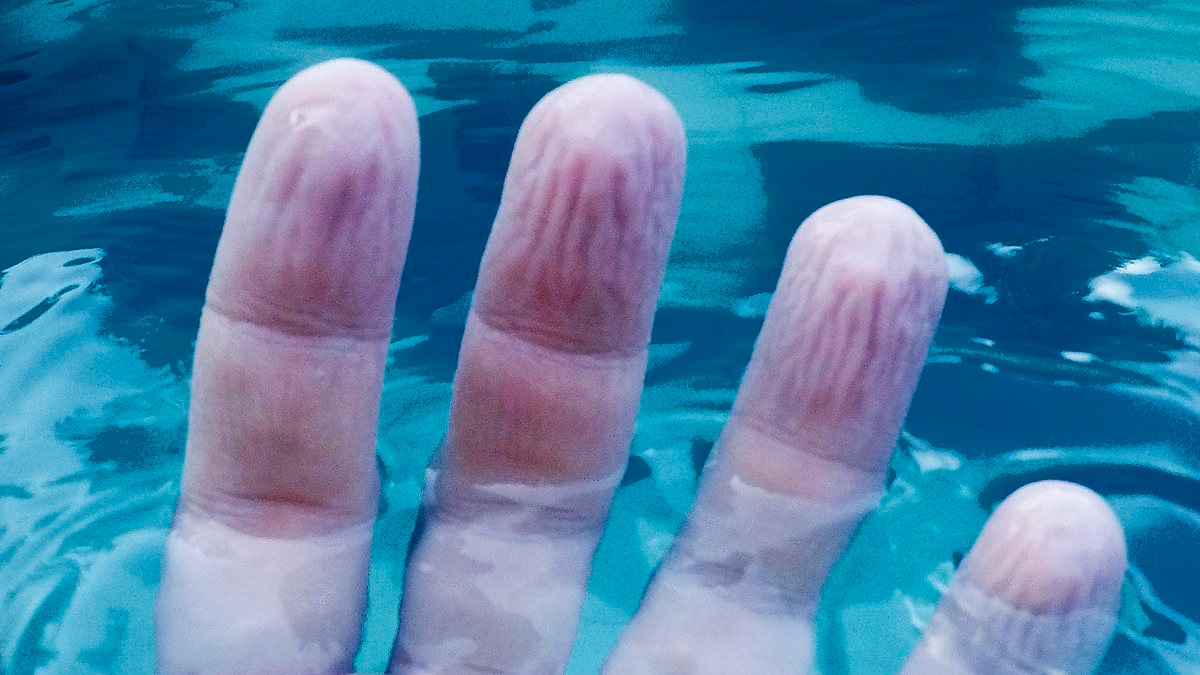 Scientists reveal the real reason why your fingers wrinkle when you soak in the bath