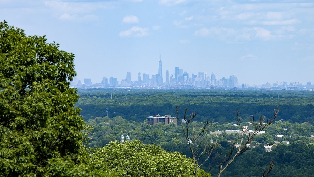 Billionaire NFL owner wants to build 500 homes on 'dangerous' New Jersey mountaintop... and locals aren't happy