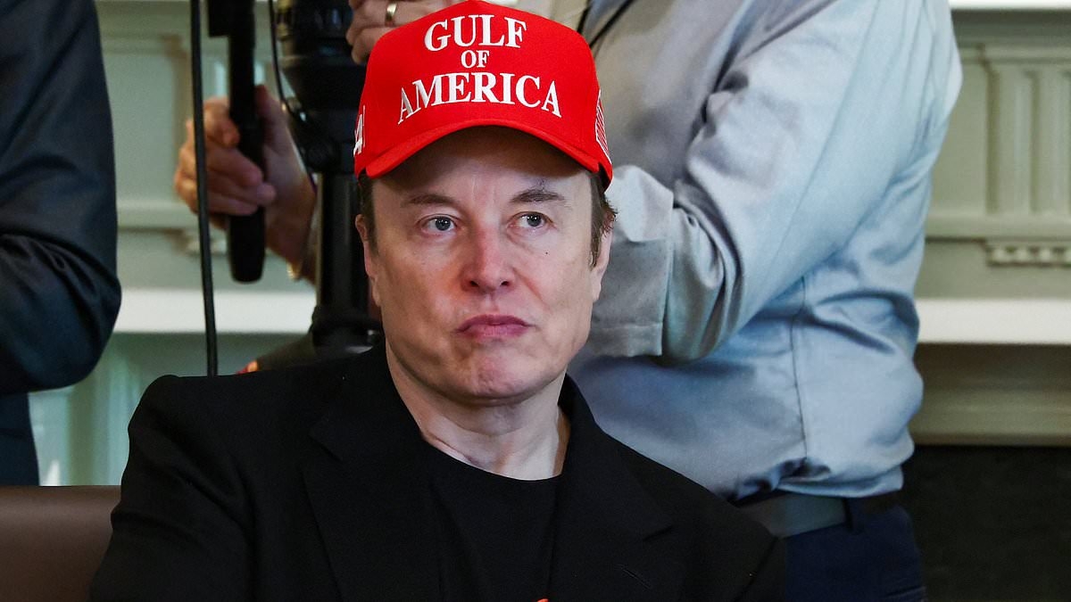 How Musk's once-successful DOGE faced a downfall