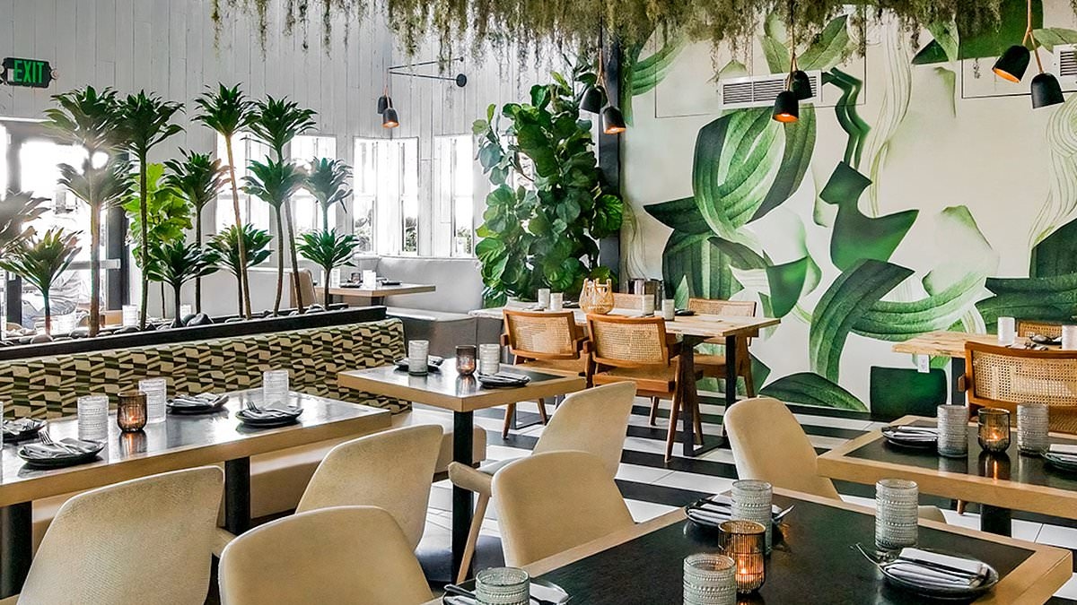 Vegan restaurant chain files for bankruptcy