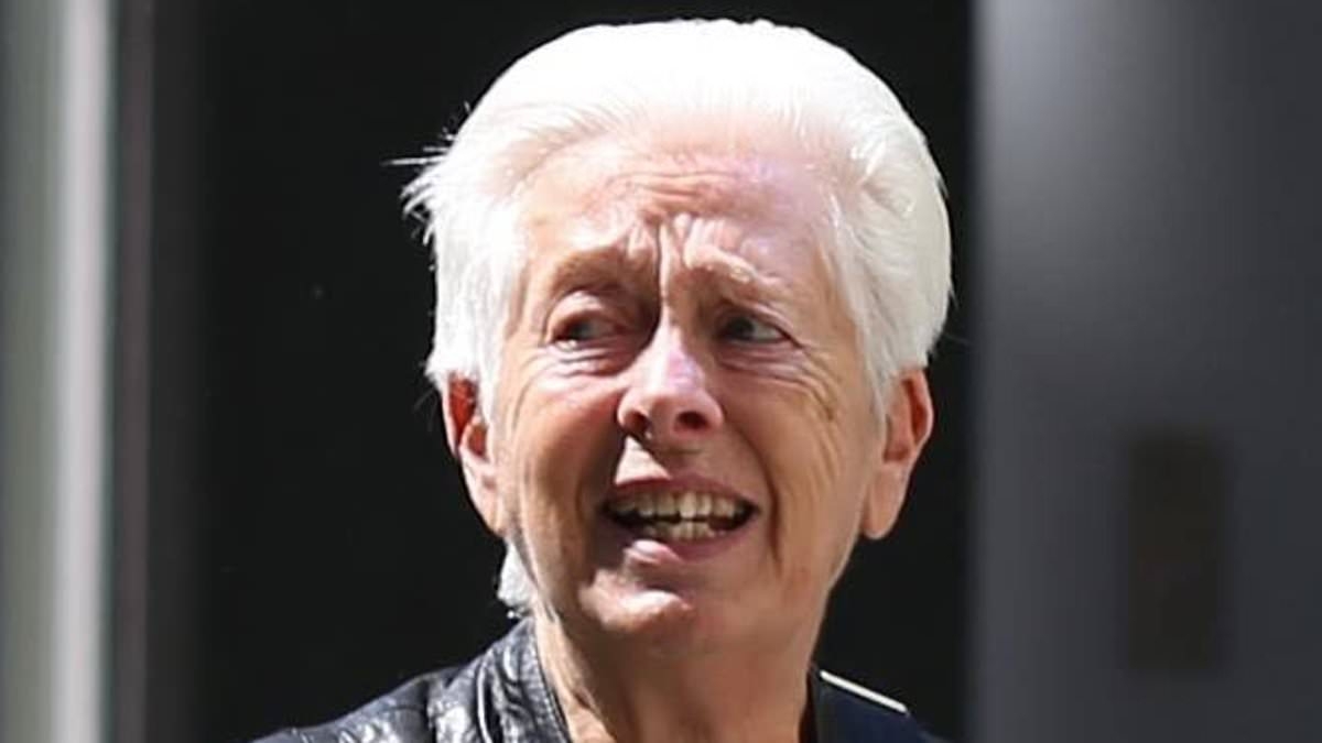 Warring neighbours spend seven years and £250k fighting over inches of land due to 'trespassing garden tap' - as High Court judge blasts them over the 'ridiculous' row