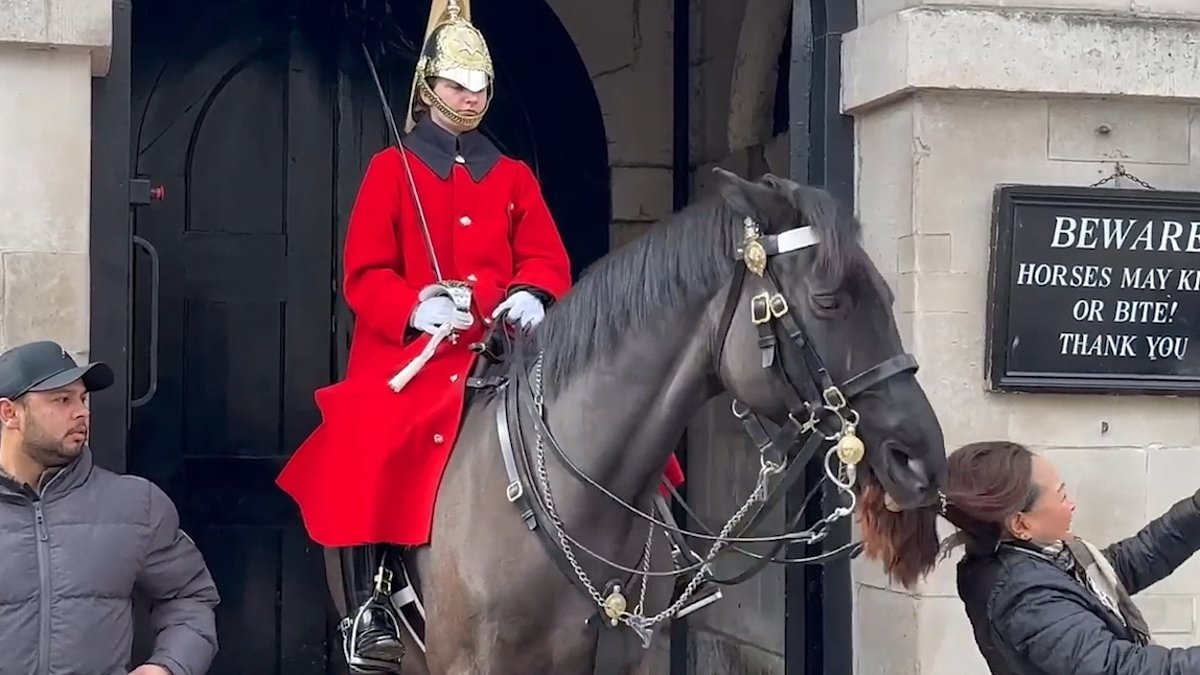 All the times tourists have angered the King's Guard - and the real reason for their severe reaction