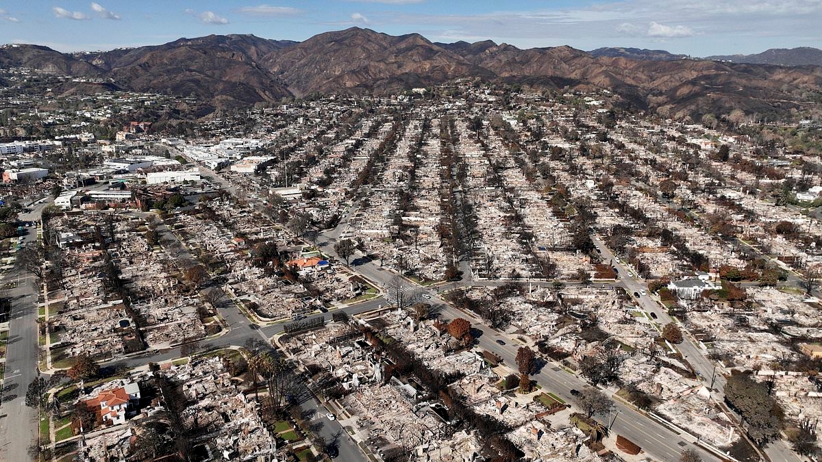 California greenlights State Farm Home insurance rate increase