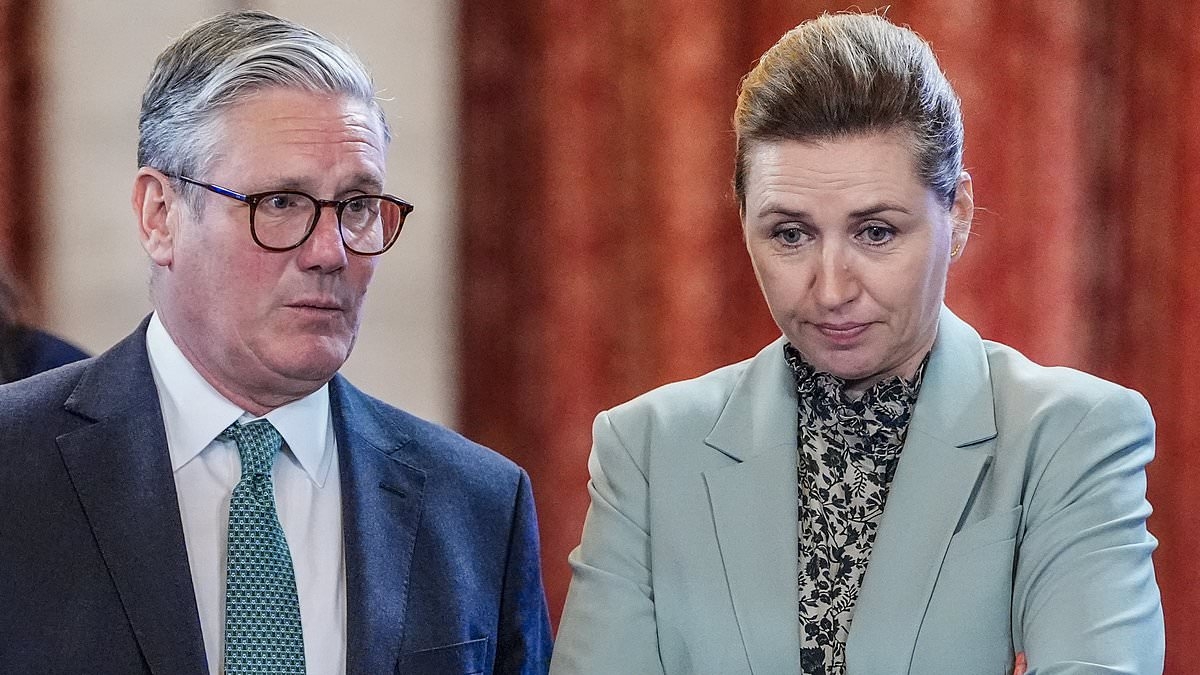 The lessons Britain can learn from Denmark's migrant crackdown: How nation has cut asylum claims by 90% with its 'zero refugee' policy