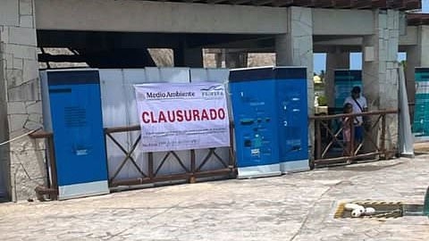 The world's saddest dolphins: Tragic footage shows pair left behind in dirty pool after Mexican aquarium shuts down